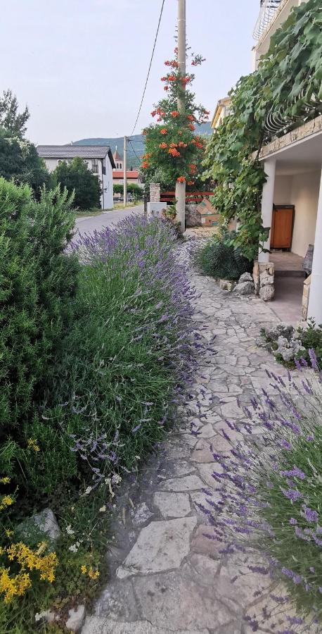 Casa Lavanda - Karin Gornji Gornji Karin Exterior foto